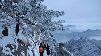 河南多景区飘起鹅毛大雪,是什么原因造成的?