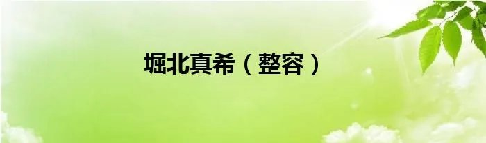 堀北真希（整容）