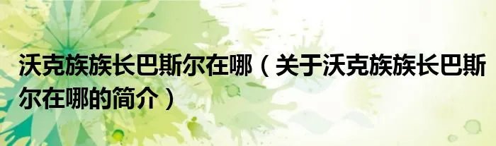 沃克族族长巴斯尔在哪（关于沃克族族长巴斯尔在哪的简介）