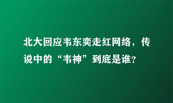 北大回应韦东奕走红网络，传说中的“韦神”到底是谁？