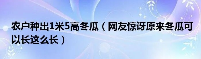 农户种出1米5高冬瓜（网友惊讶原来冬瓜可以长这么长）