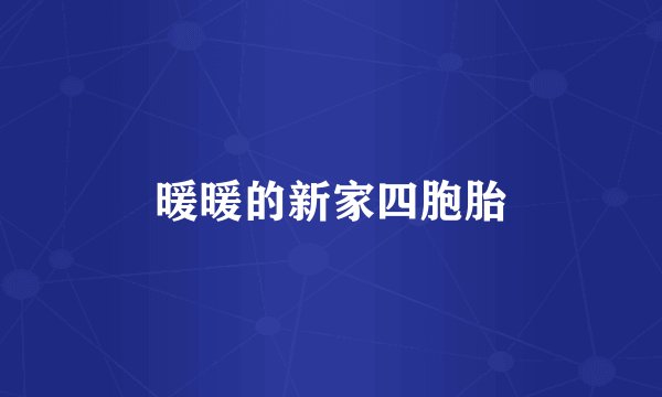 暖暖的新家四胞胎
