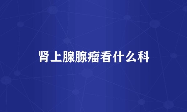肾上腺腺瘤看什么科