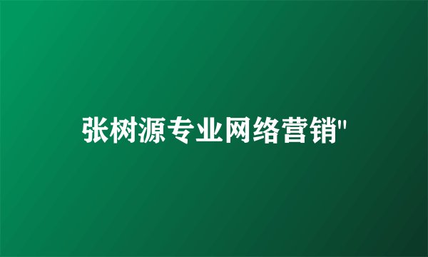 张树源专业网络营销