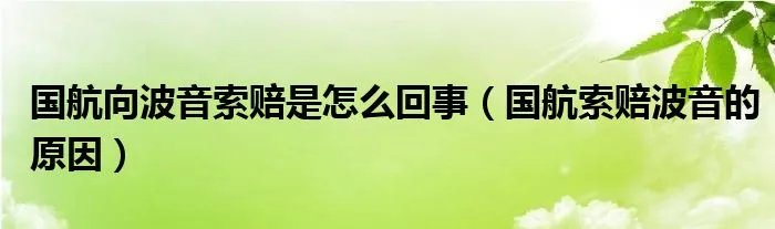 国航向波音索赔是怎么回事（国航索赔波音的原因）