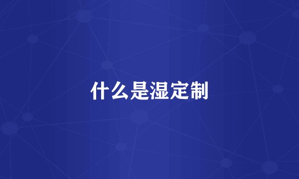 什么是湿定制