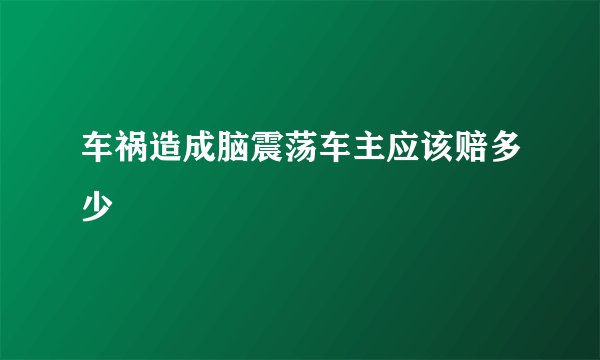车祸造成脑震荡车主应该赔多少