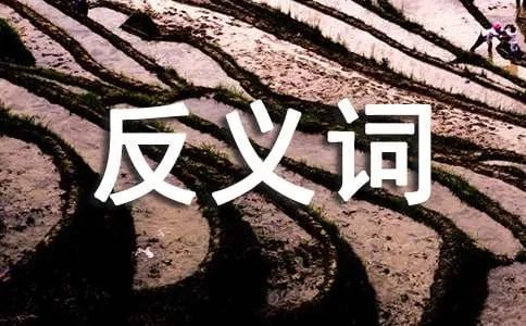 灿烂的反义词