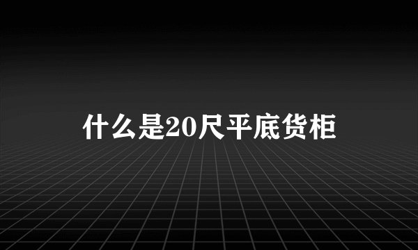 什么是20尺平底货柜