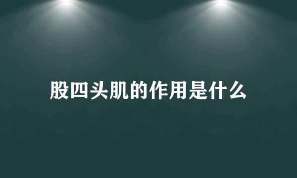股四头肌的作用是什么