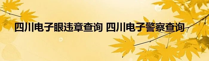 四川电子眼违章查询 四川电子警察查询
