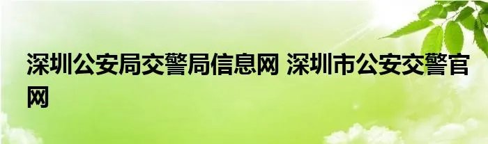 深圳公安局交警局信息网 深圳市公安交警官网