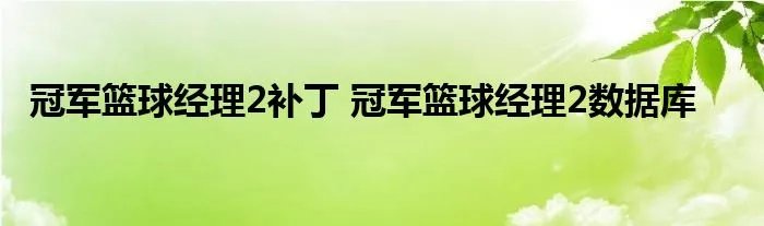 冠军篮球经理2补丁 冠军篮球经理2数据库