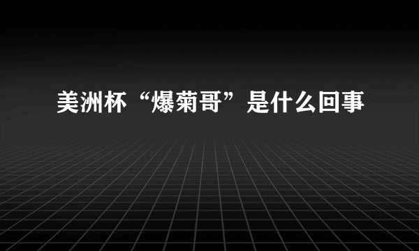 美洲杯“爆菊哥”是什么回事