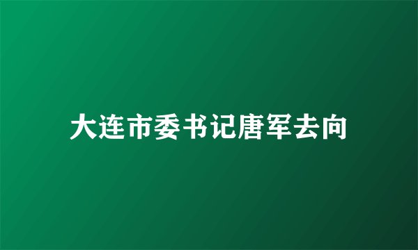 大连市委书记唐军去向