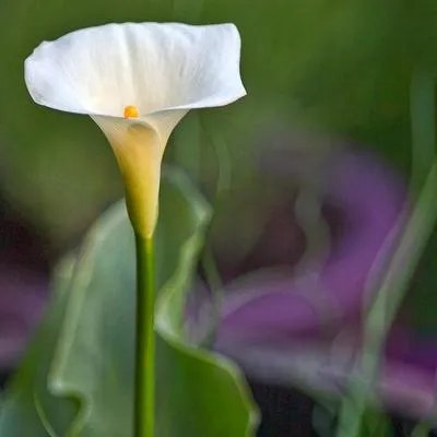 淋巴结结节会癌变吗 出现淋巴结节要注意哪些问题