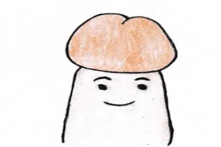 龟头图片
