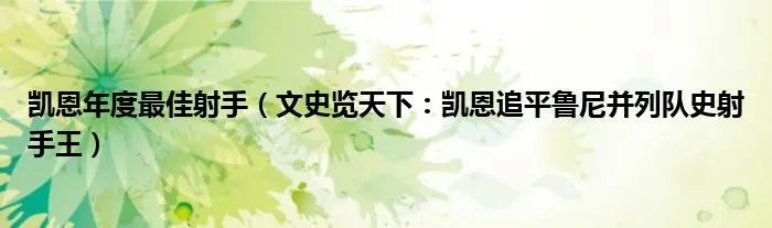 凯恩年度最佳射手（文史览天下：凯恩追平鲁尼并列队史射手王）
