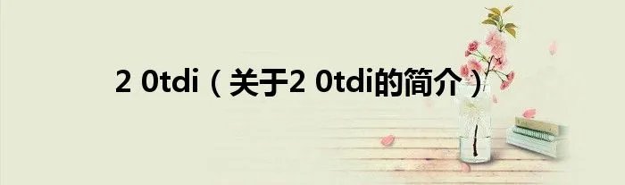 2 0tdi（关于2 0tdi的简介）