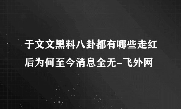 于文文黑料八卦都有哪些走红后为何至今消息全无-飞外网