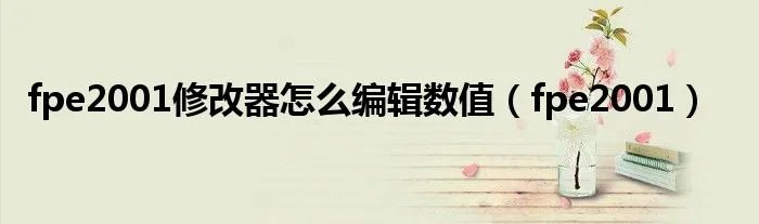 fpe2001修改器怎么编辑数值（fpe2001）