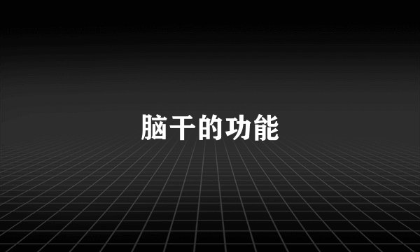 脑干的功能