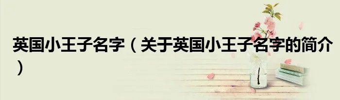 英国小王子名字（关于英国小王子名字的简介）