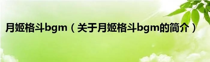 月姬格斗bgm（关于月姬格斗bgm的简介）