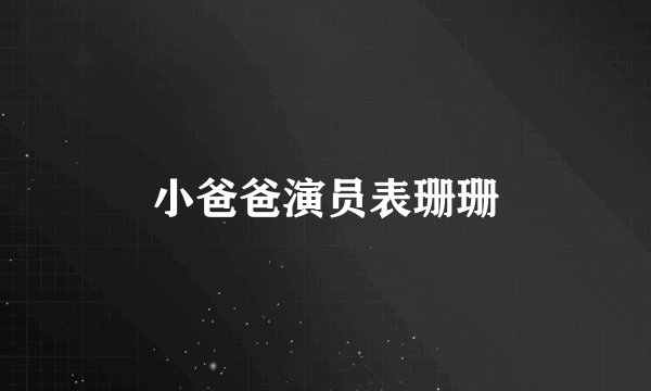 小爸爸演员表珊珊