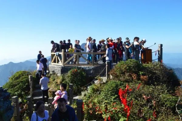 5月赴日旅游仅1700人,国内游客为何不去日本了?