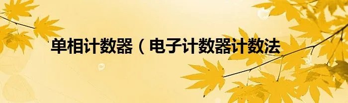 单相计数器（电子计数器计数法