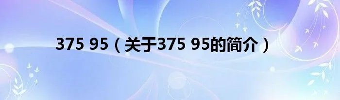 375 95（关于375 95的简介）