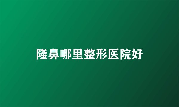 隆鼻哪里整形医院好