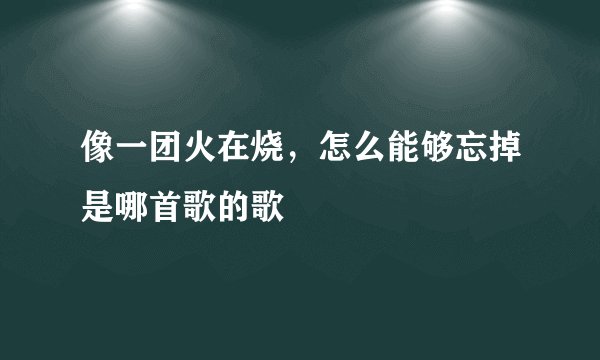 像一团火在烧，怎么能够忘掉是哪首歌的歌