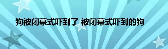 狗被闭幕式吓到了 被闭幕式吓到的狗