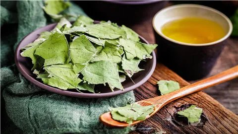 冬瓜荷叶茶的功效与作用