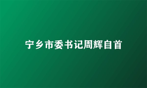 宁乡市委书记周辉自首
