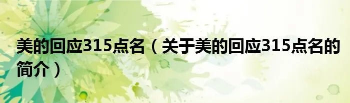 美的回应315点名（关于美的回应315点名的简介）