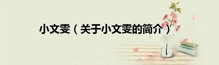 小文雯（关于小文雯的简介）