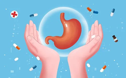 胃在哪个位置图 胃的位置图 胃的结构图