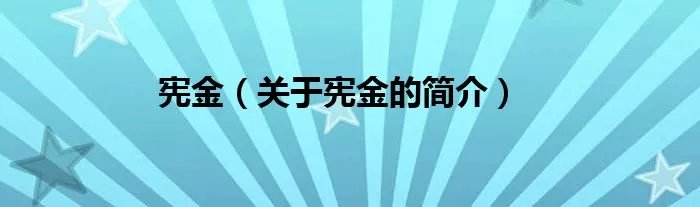 宪金（关于宪金的简介）