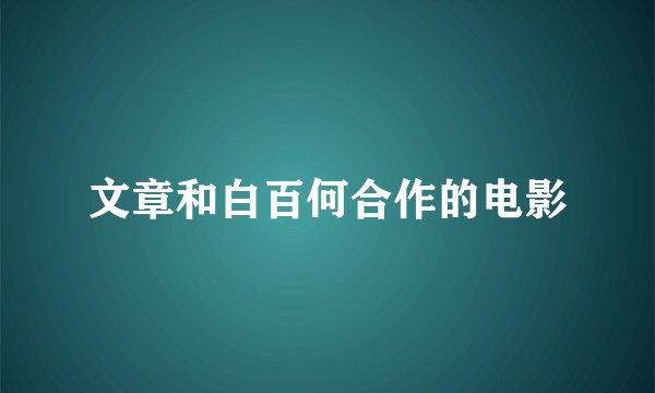 文章和白百何合作的电影