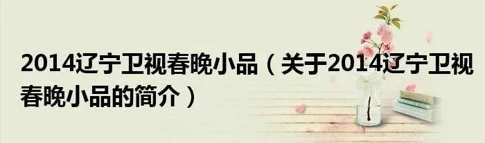 2014辽宁卫视春晚小品（关于2014辽宁卫视春晚小品的简介）
