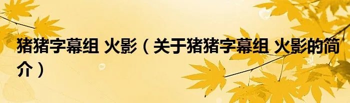 猪猪字幕组 火影(关于猪猪字幕组 火影的简介)