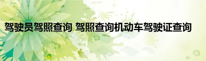 驾驶员驾照查询 驾照查询机动车驾驶证查询