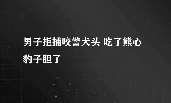 男子拒捕咬警犬头 吃了熊心豹子胆了