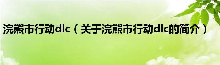 浣熊市行动dlc（关于浣熊市行动dlc的简介）