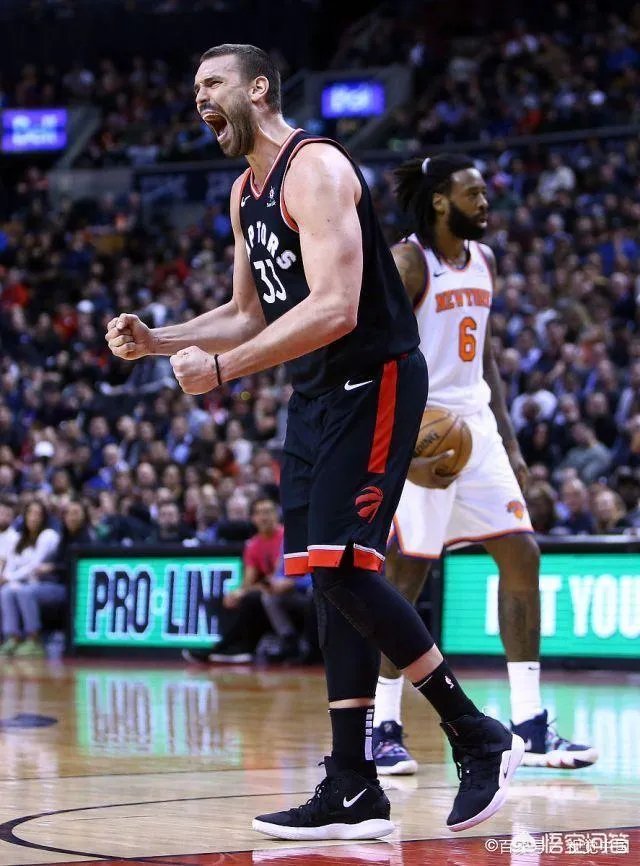 NBA东部决赛你觉得是猛龙赢,还是雄鹿?