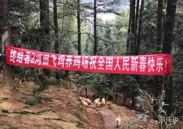 在《绝地求生》里吃鸡还不够?网曝网易成立养鸡场