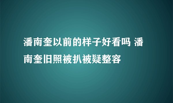 潘南奎以前的样子好看吗 潘南奎旧照被扒被疑整容